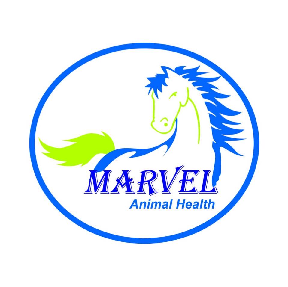 مارفيل لصحة الحيوان