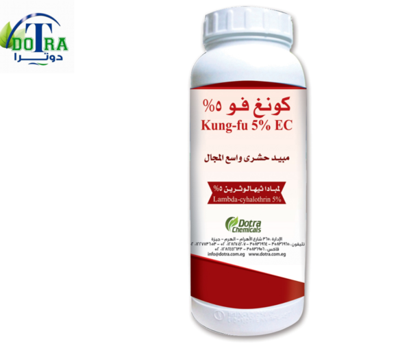 كونج فو