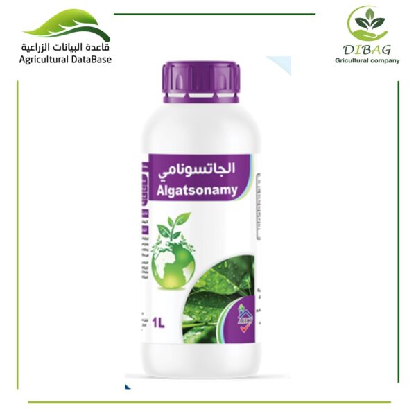 الجاتسونامي