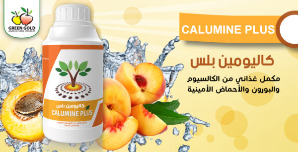 كاليومين بلس