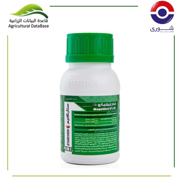 5% ماجنيفكو