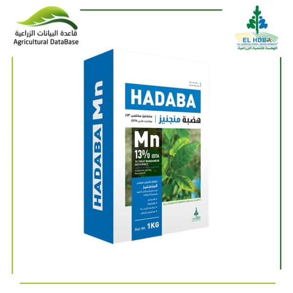 هضبة منجنيز