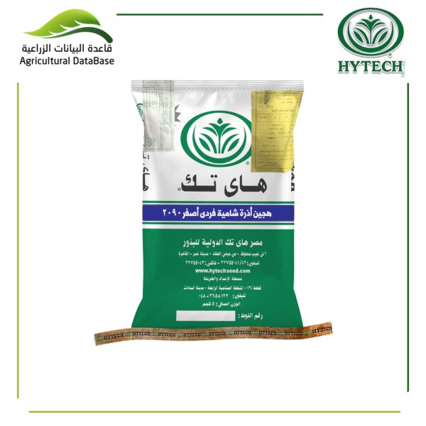 هجين أذرة شامية فردى أصفر 2090