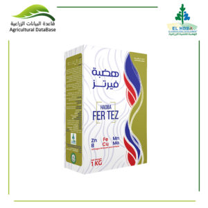 هضبة فيرتز