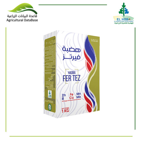 هضبة فيرتز