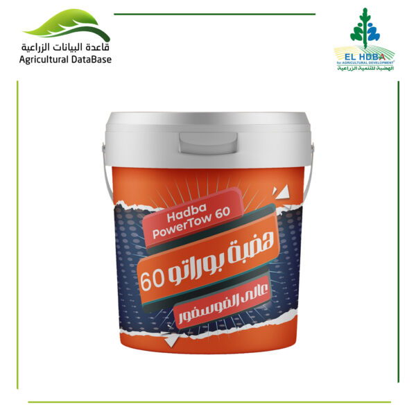 هضبة بواراتو 60