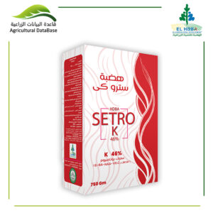 هضبة سترو كي