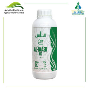 النئاش مغ