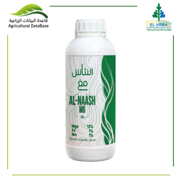 النئاش مغ