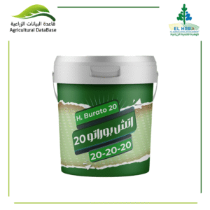أتش بوراتو 20