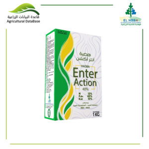 هضبة إنتر أكشن
