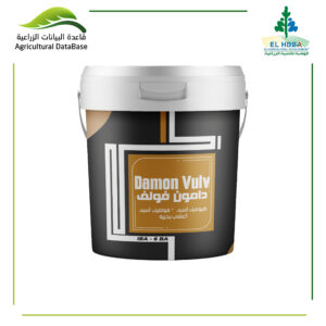 دامون فولف