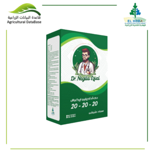 دي أر ناجيليو إيكوال