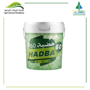 هضبة 60