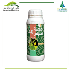 هضبة فوس 40