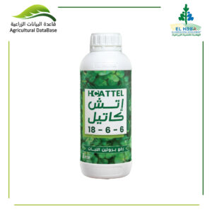 اتش كاتيل 6-6-18