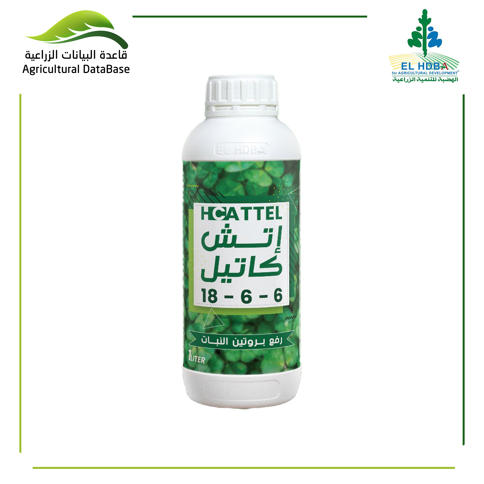 اتش كاتيل 6-6-18