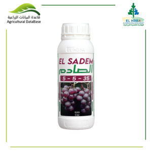 الصادم