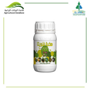 هضبة فلوريتا