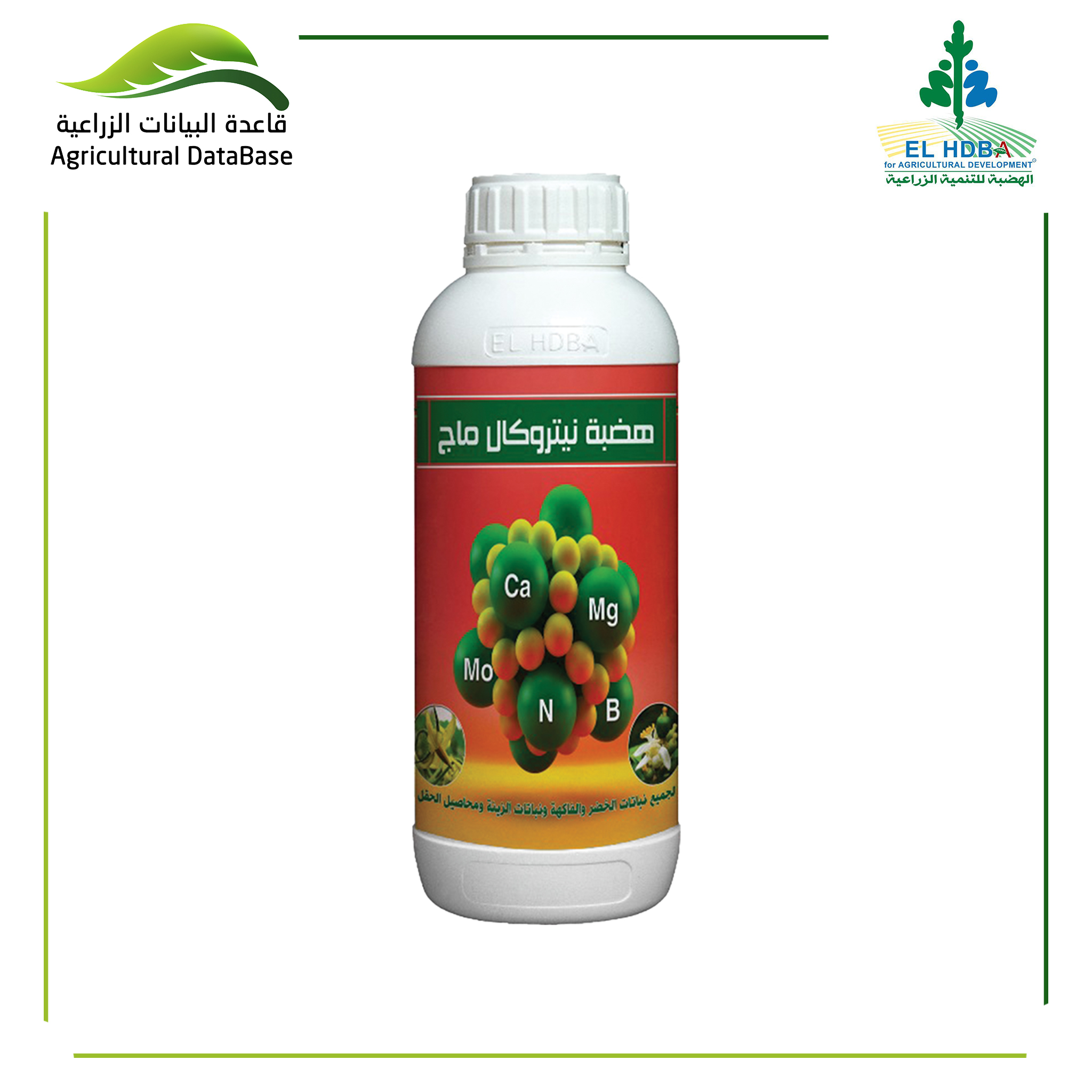 هضبة نيتروكال ماج