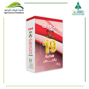 هضبة بالنس 20-19-19