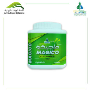 هضبة ماجيكو