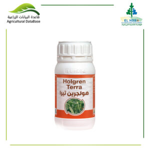 هولجرين تيرا