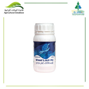 ويـدلاك إم جي