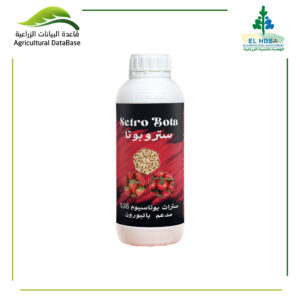 هضبة ستروبوتا