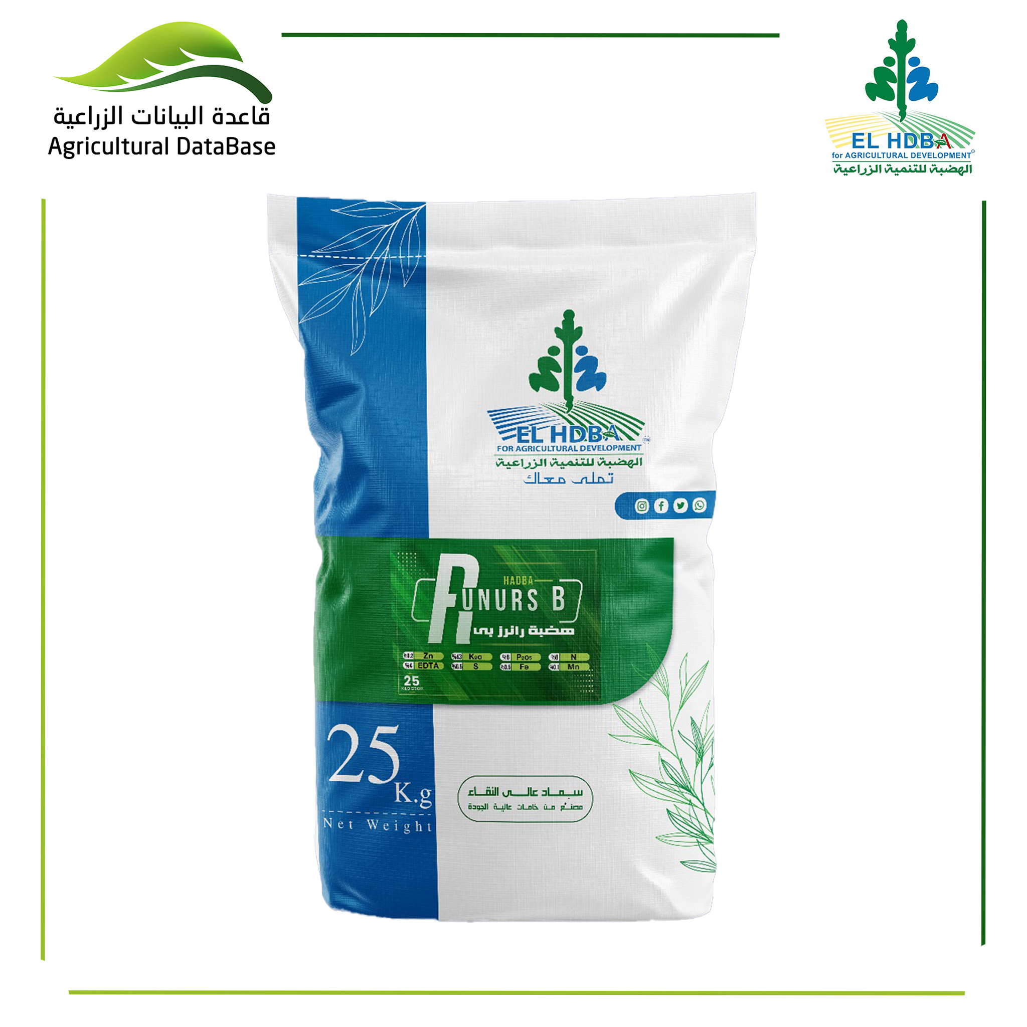 هضبة رانرز بي