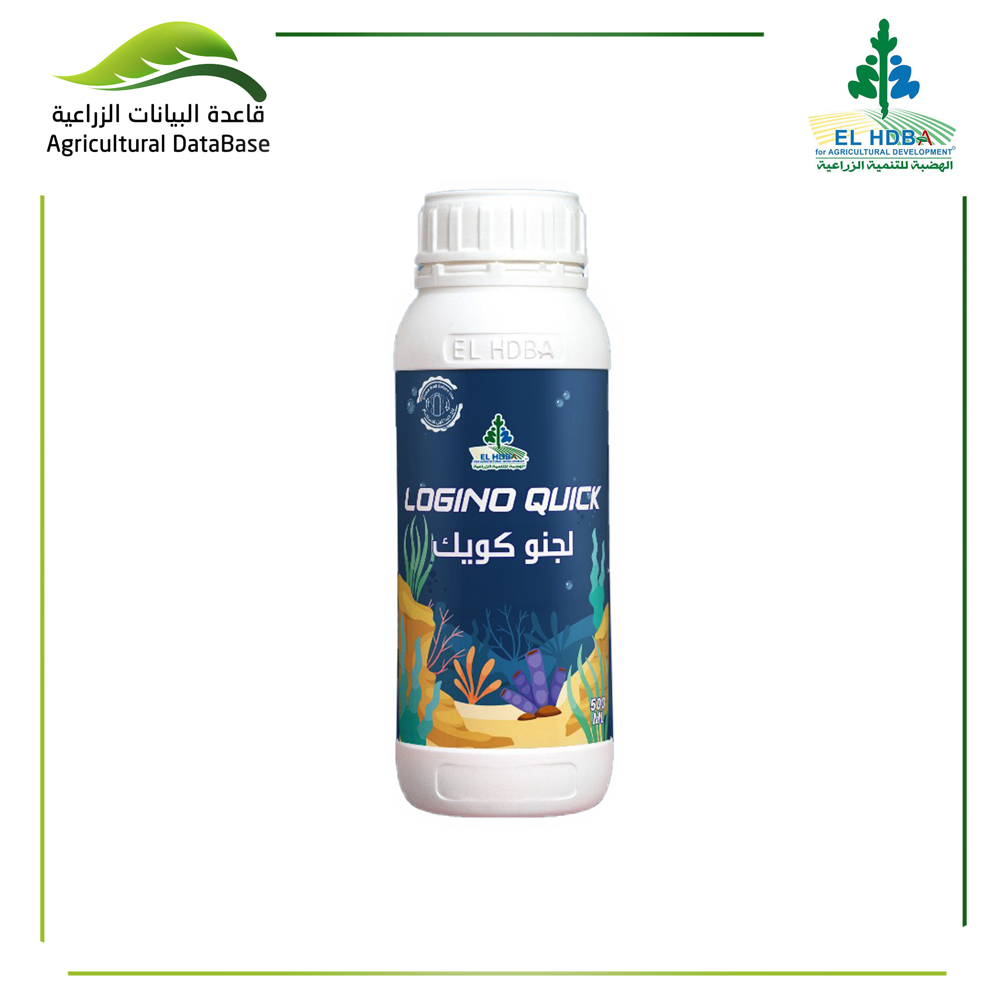 هضبة لجنو كويك