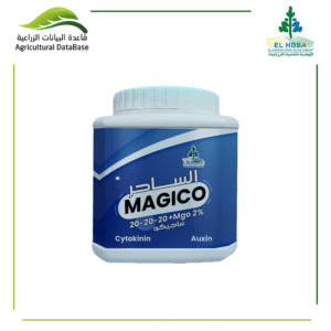 هضبة ماجيكو