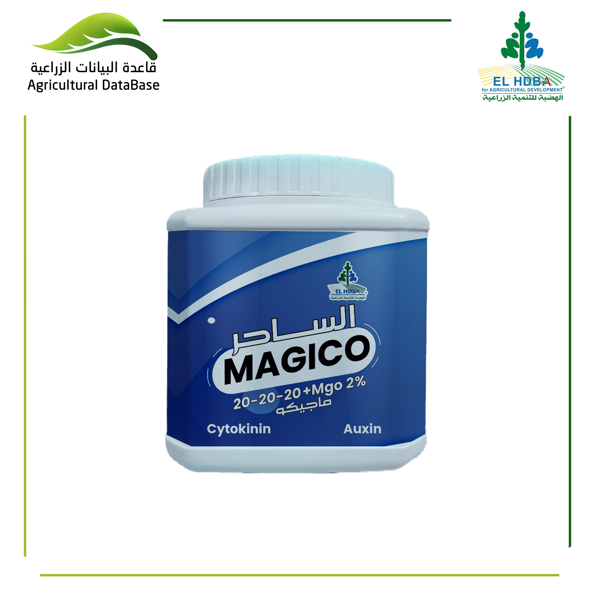 هضبة ماجيكو