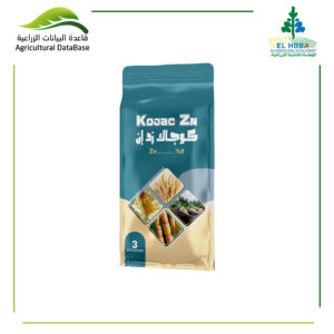 كوجاك زد إن