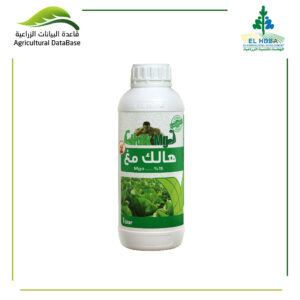 هضبة هالك مغ