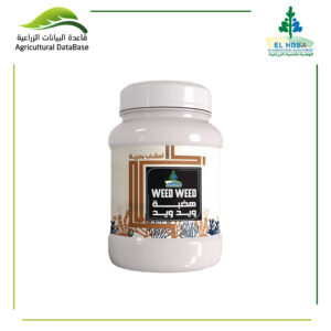 هضبة ويد ويد